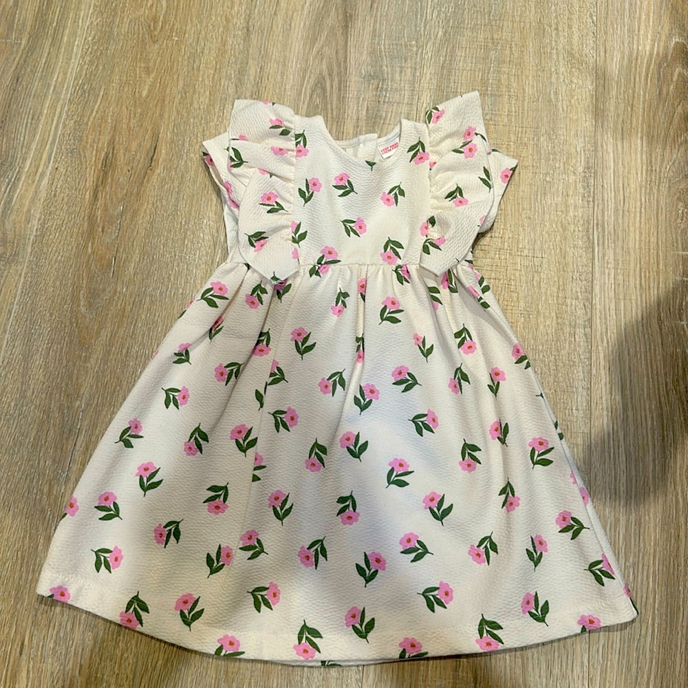 Little girl Zara dress 3-4T